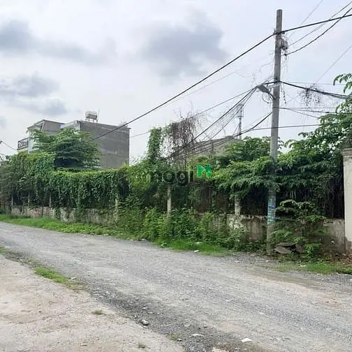 Chính Chủ Gửi Bán Lô Đất Hẻm 41 Đường Gò Cát P.phú Hữu Quận 9.