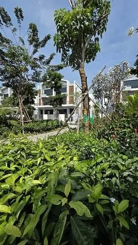 Nhà Phố, Biệt Thự The Meadow Bình Chánh Chỉ 20% Nhận Nhà, Trả Chậm 5%