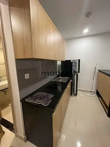 Newton Residences 36M2,1Pn Full Nthat Giá 12Tr