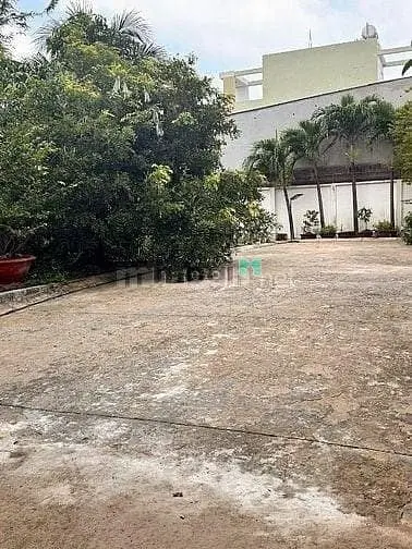 Cho Thuê Biệt Thự 2500M2 Đường Đông Bắc Phường Tân Chánh Hiệp Quận