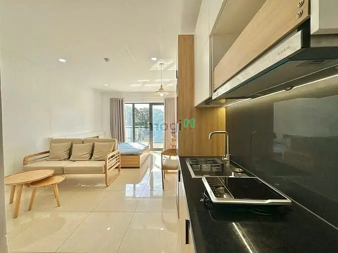 Cho Thuê Studio Balcony 45M2 Bình Thạnh Full Nt Thang Máy