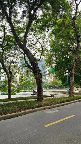 Rất Hiếm! Mặt Phố Kinh Doanh, Lõi Ba Đình-Giá Chỉ 10 Tỷ (48M2)