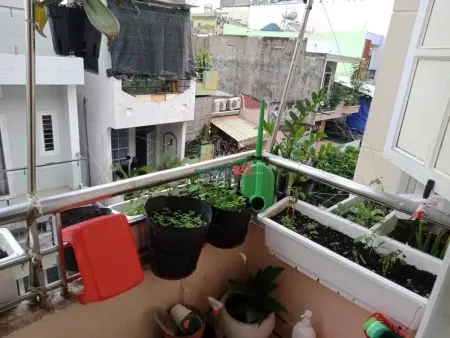 Tìm 1–2 Bạn Nữ Ở Ghép – Bình Thạnh